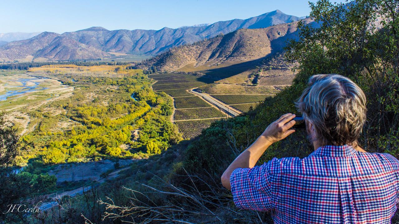 Conoce las viñas más antiguas y famosas de Chile a un paso de Santiago
