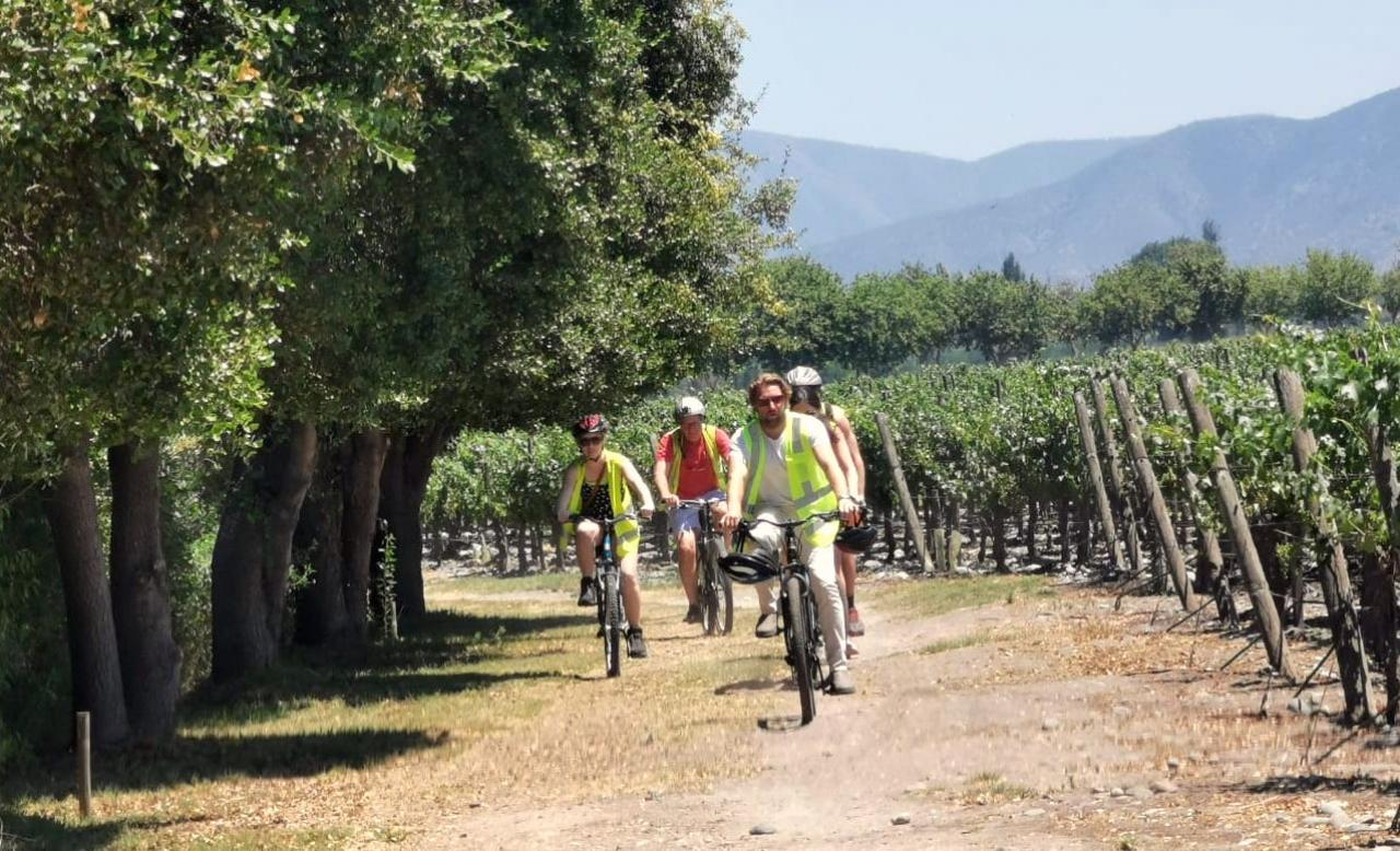 Tour en bicicleta por las viñas del Maipo