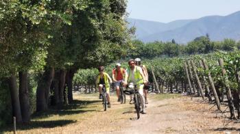 Tour en bicicleta por el Maipo