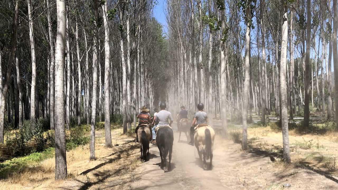 ¡Todo en uno! Sendero interpretativo por la vera del río Maipo, buena gastronomía y mejor vino