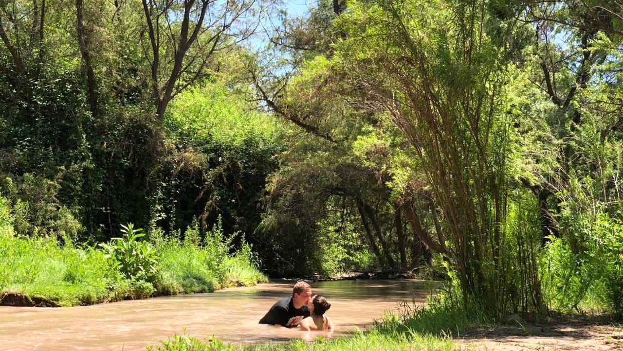 Disfruta de un día inolvidable de viñedos, naturaleza, patrimonio cultural y buen vino en el Valle del Maipo 