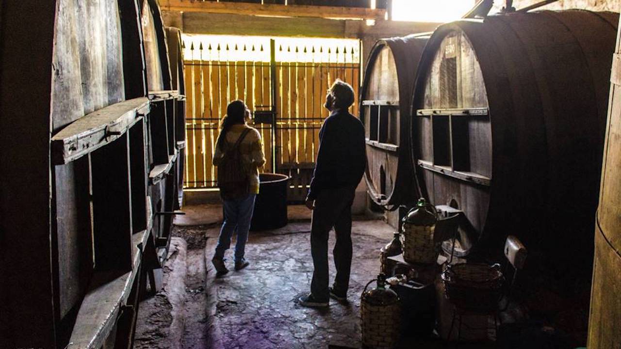 Disfruta de un día inolvidable de viñedos, naturaleza, patrimonio cultural y buen vino en el Valle del Maipo 