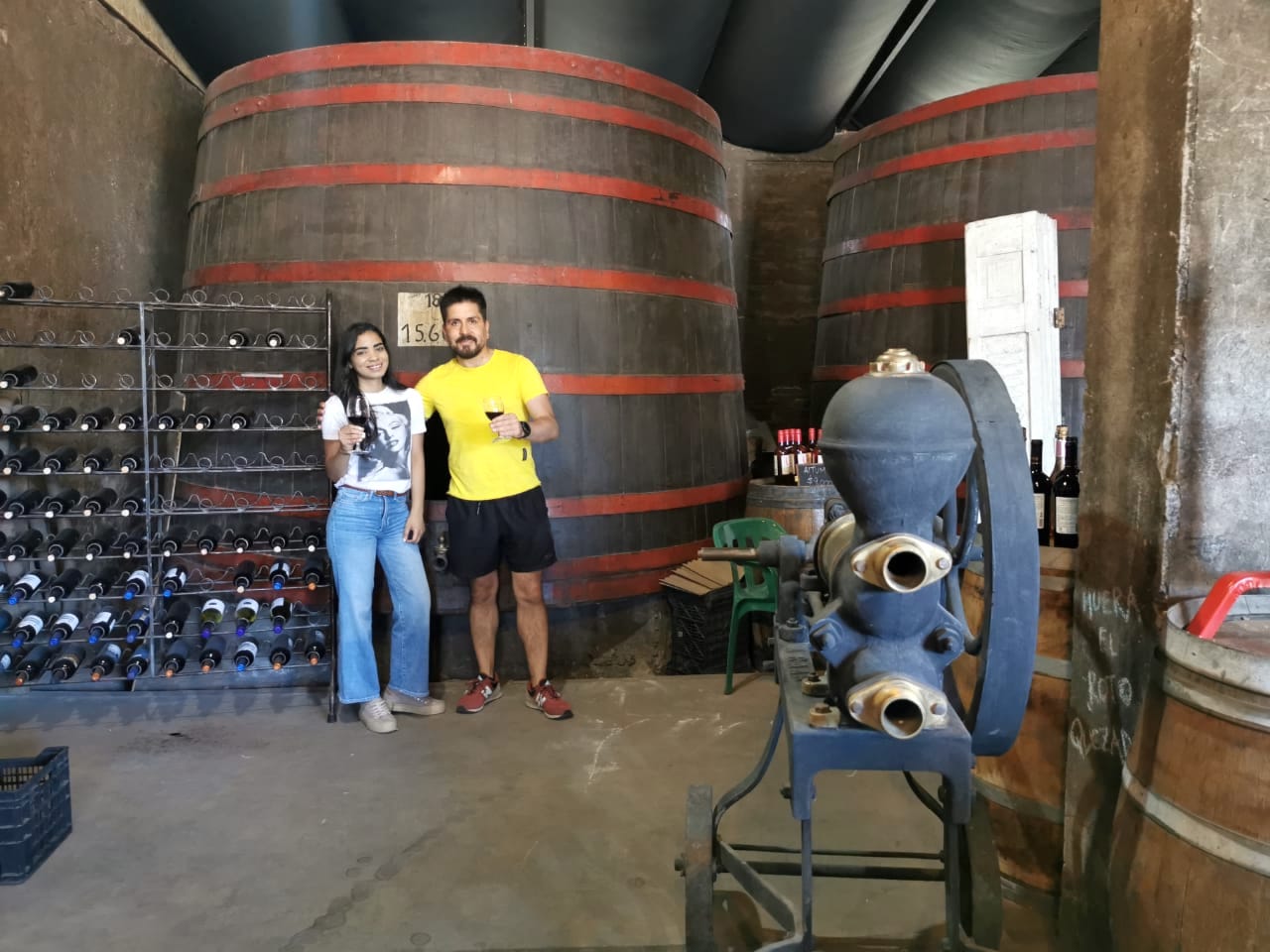 El tour definitivo para conocer y gozar del vino a un paso de Santiago! Una divertida experiencia en la que disfrutamos de todas las etapas de la vida del vino, su historia y su presente.